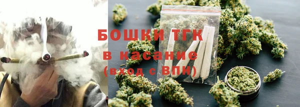 гашик Пересвет
