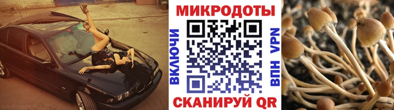 Галлюциногенные грибы ЛСД  Барнаул 