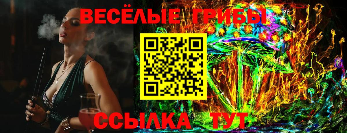 Барнаул  Галлюциногенные грибы ЛСД  Вход с VPN 