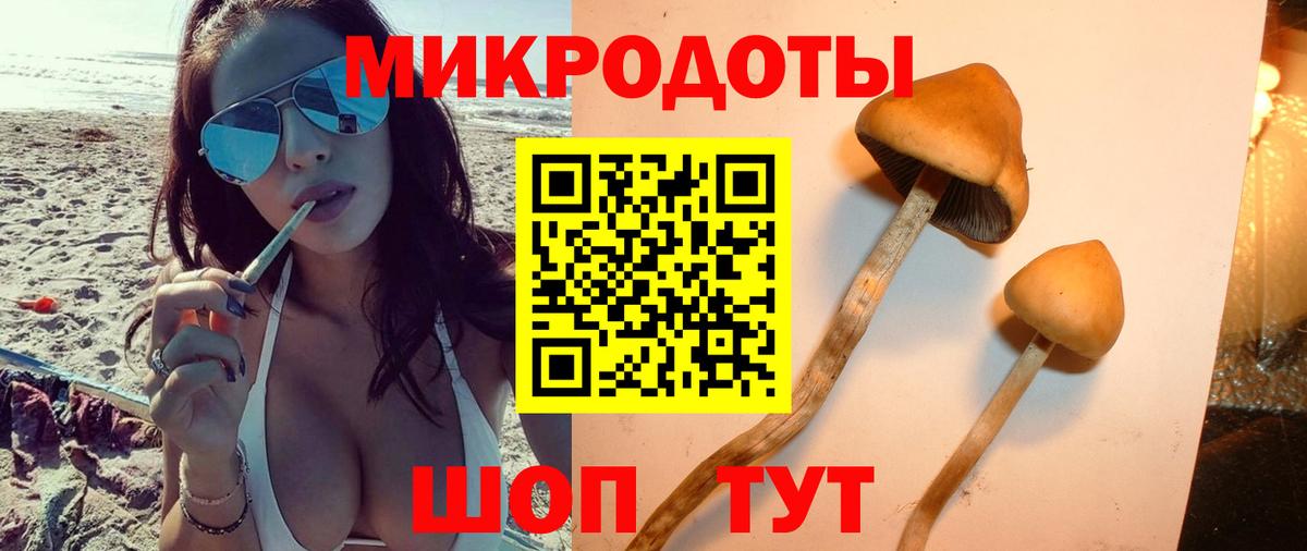 Галлюциногенные грибы мухоморы Барнаул